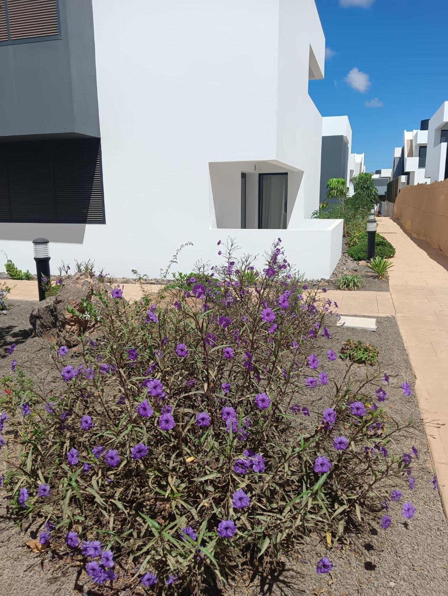 Aulaga Apartment Villaverde  ภายนอก รูปภาพ